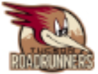 Tucson-Roadrunners_web